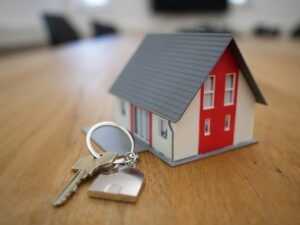 Rental Home and Keys - Bed Bug Inspection